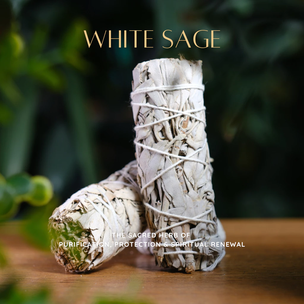 White Sage